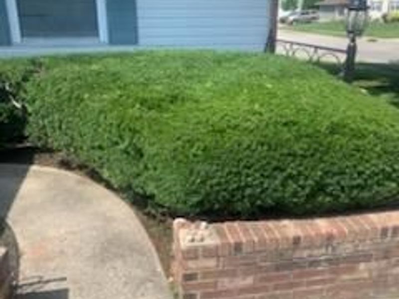 2713 Marview Road , Columbus, OH 43219 Photo 10