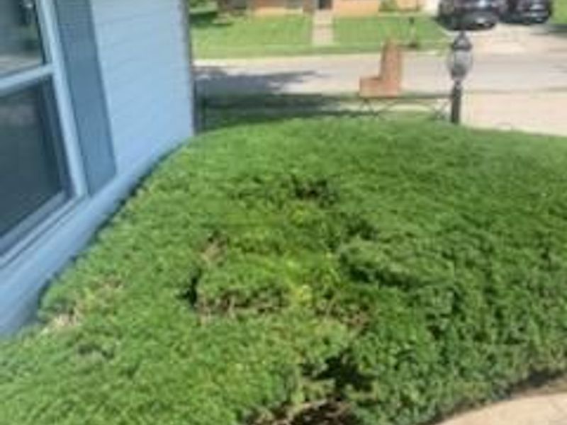 2713 Marview Road , Columbus, OH 43219 Photo 9