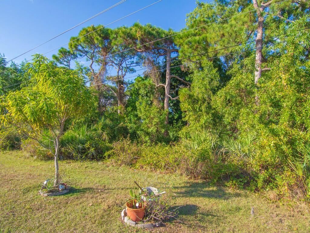 8 Novedades, Port Saint Lucie, FL 34952 Photo