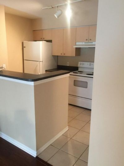 4081 San Marino Blvd, Unit 205, West Palm Beach, FL 33409 Photo