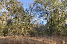 1970 Liberia Road photo 4