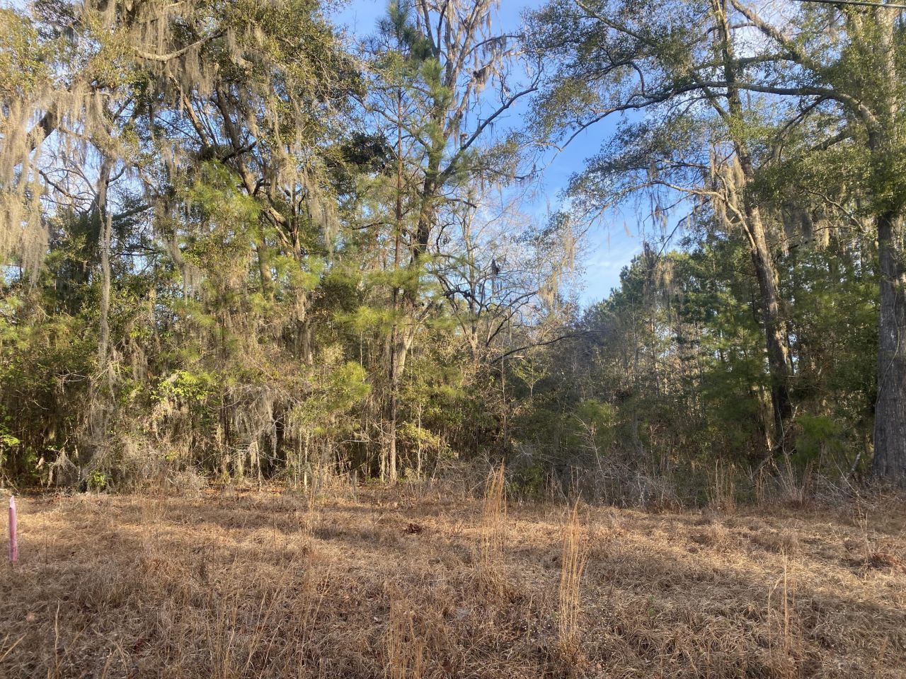 1970 Liberia Road Photo 4