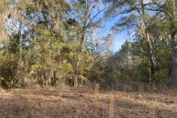 1970 Liberia Road photo 4