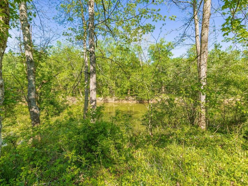 467 Waggoner Riffle Road, Green Township, OH 45650 Photo 35