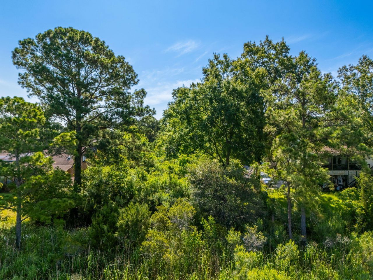 821 Longbranch Drive Photo 13