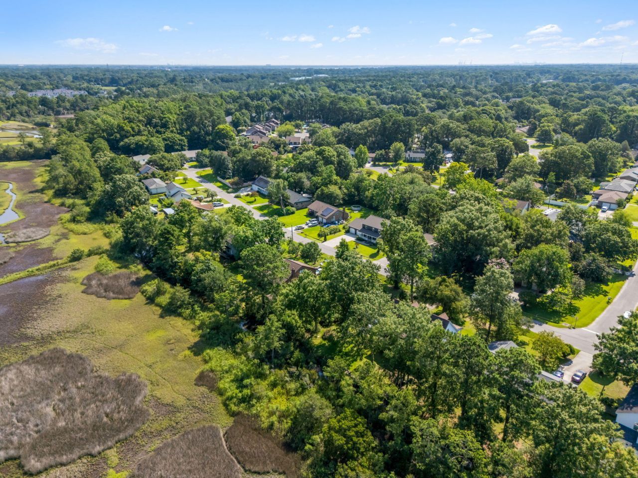 821 Longbranch Drive Photo 17