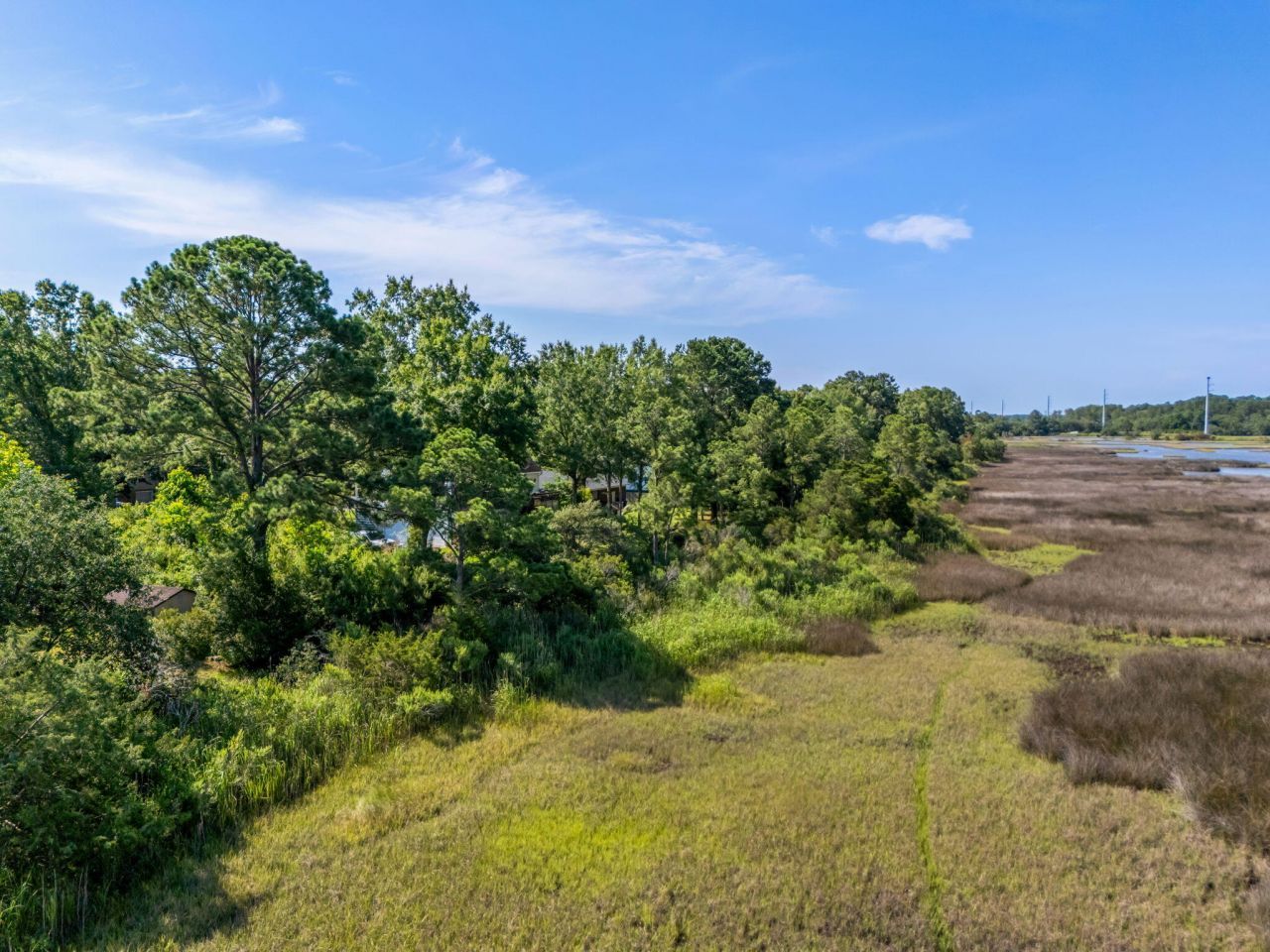 821 Longbranch Drive Photo 3