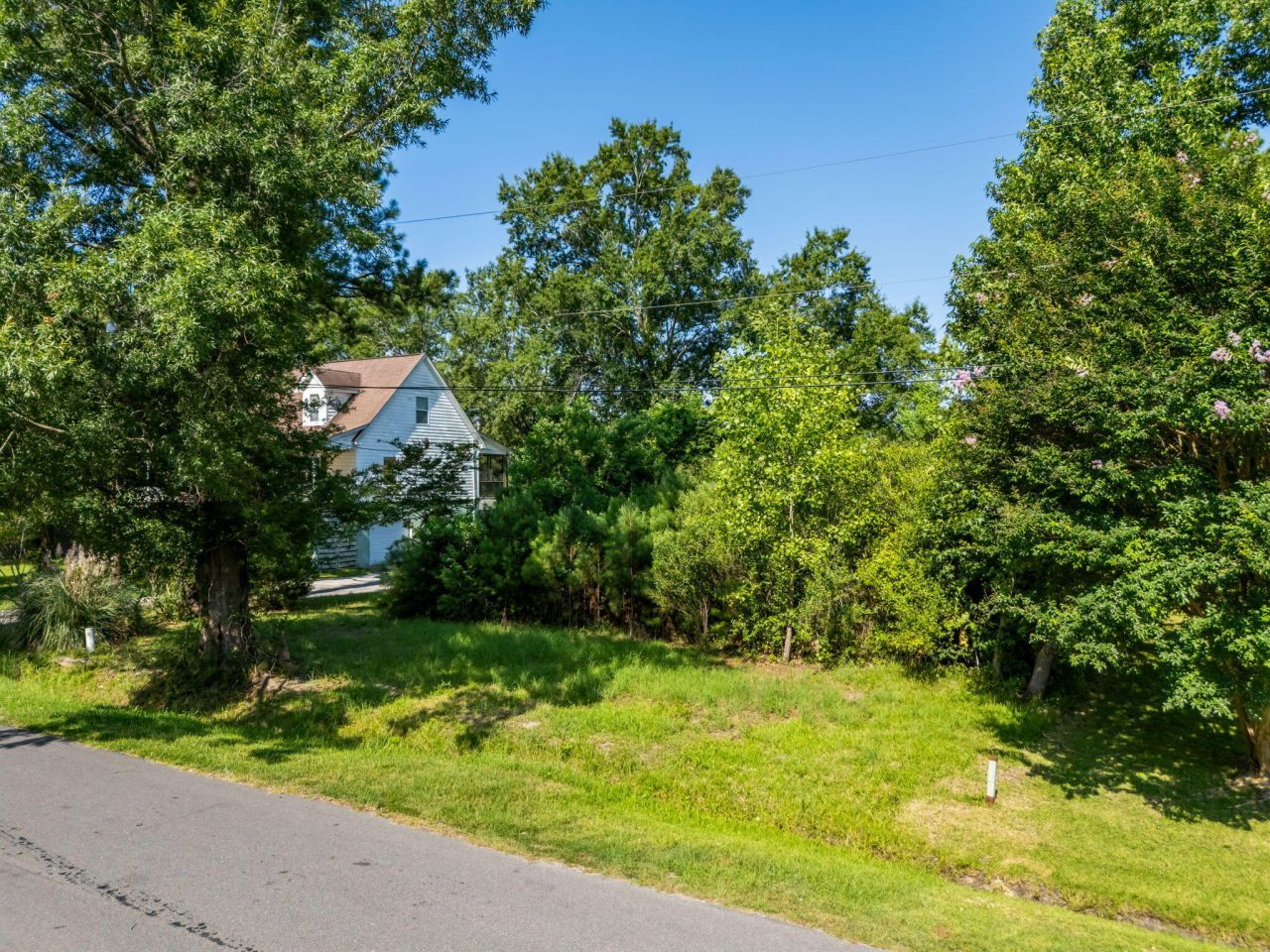 821 Longbranch Drive Photo 8