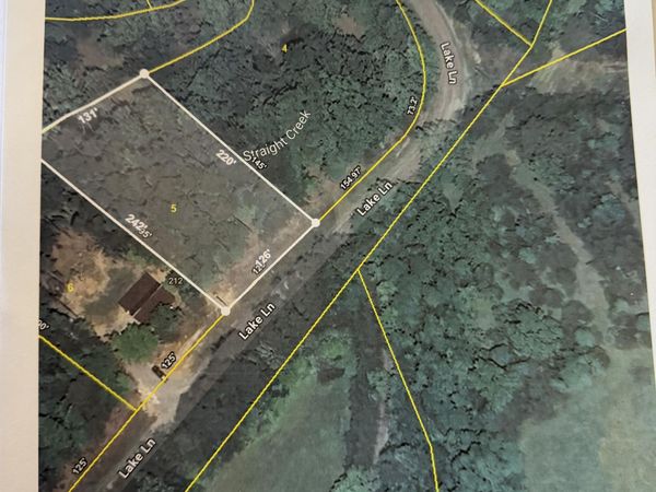 Lake Lane, New Tazewell, TN 37825