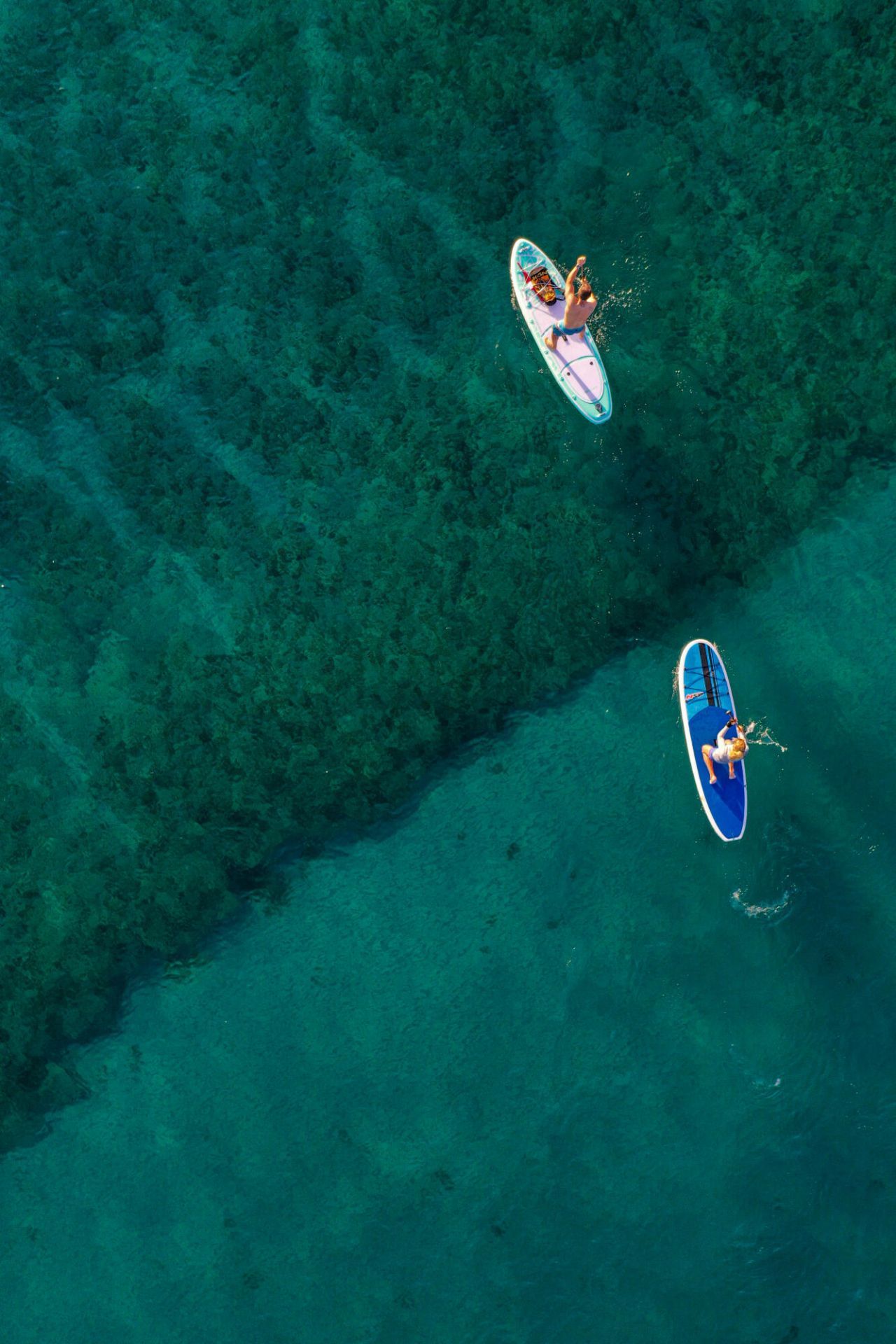 6381 Bay Club Drive, Unit #3, Fort Lauderdale, FL 33308 Photo