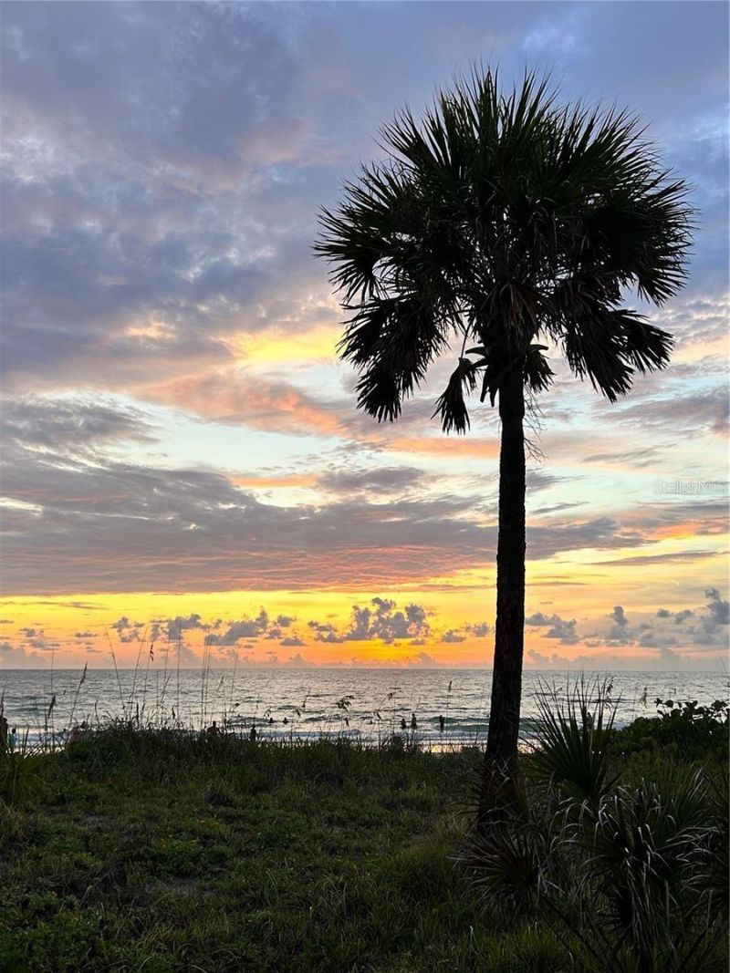 135 Bath Club Circle, North Redington Beach, FL 33708 Photo