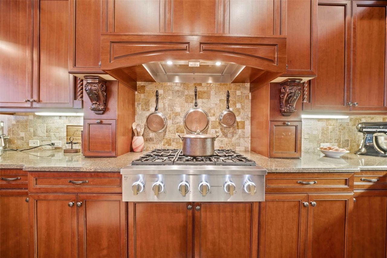 1207 Merry Water Drive, Lutz, FL 33548 Photo