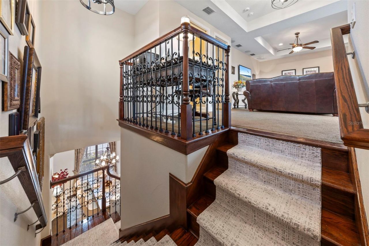 1207 Merry Water Drive, Lutz, FL 33548 Photo