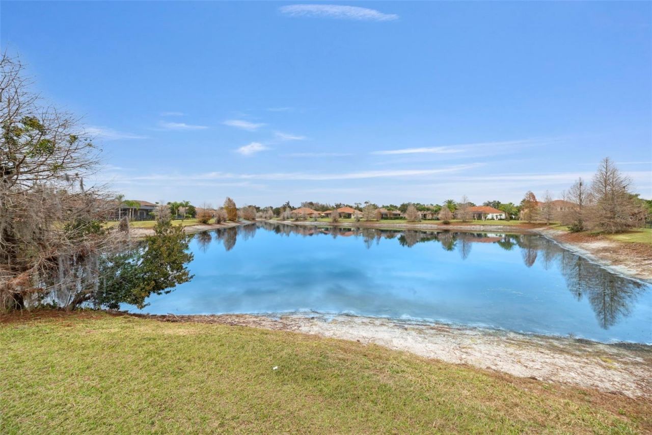 1207 Merry Water Drive, Lutz, FL 33548 Photo