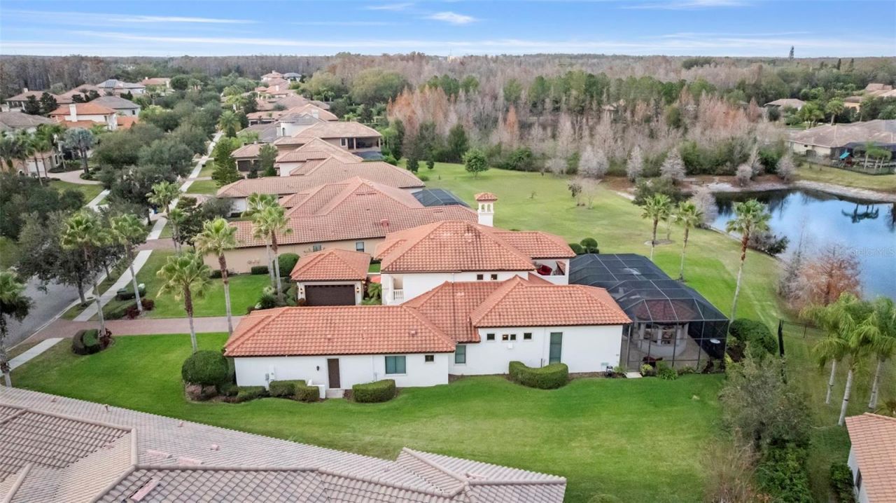 1207 Merry Water Drive, Lutz, FL 33548 Photo