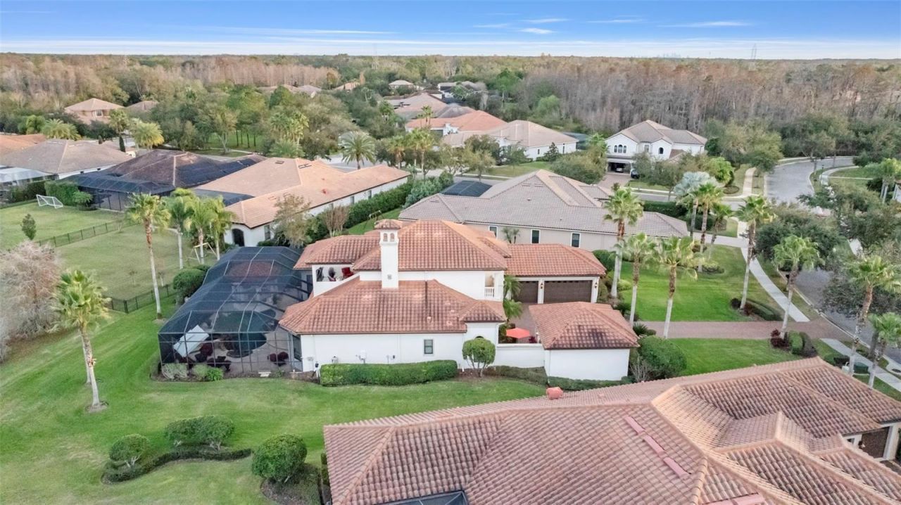 1207 Merry Water Drive, Lutz, FL 33548 Photo