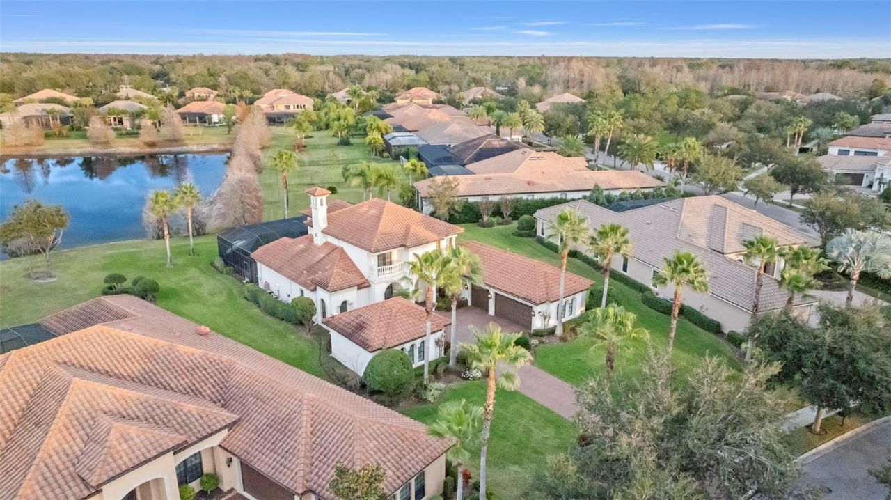 1207 Merry Water Drive, Lutz, FL 33548 Photo