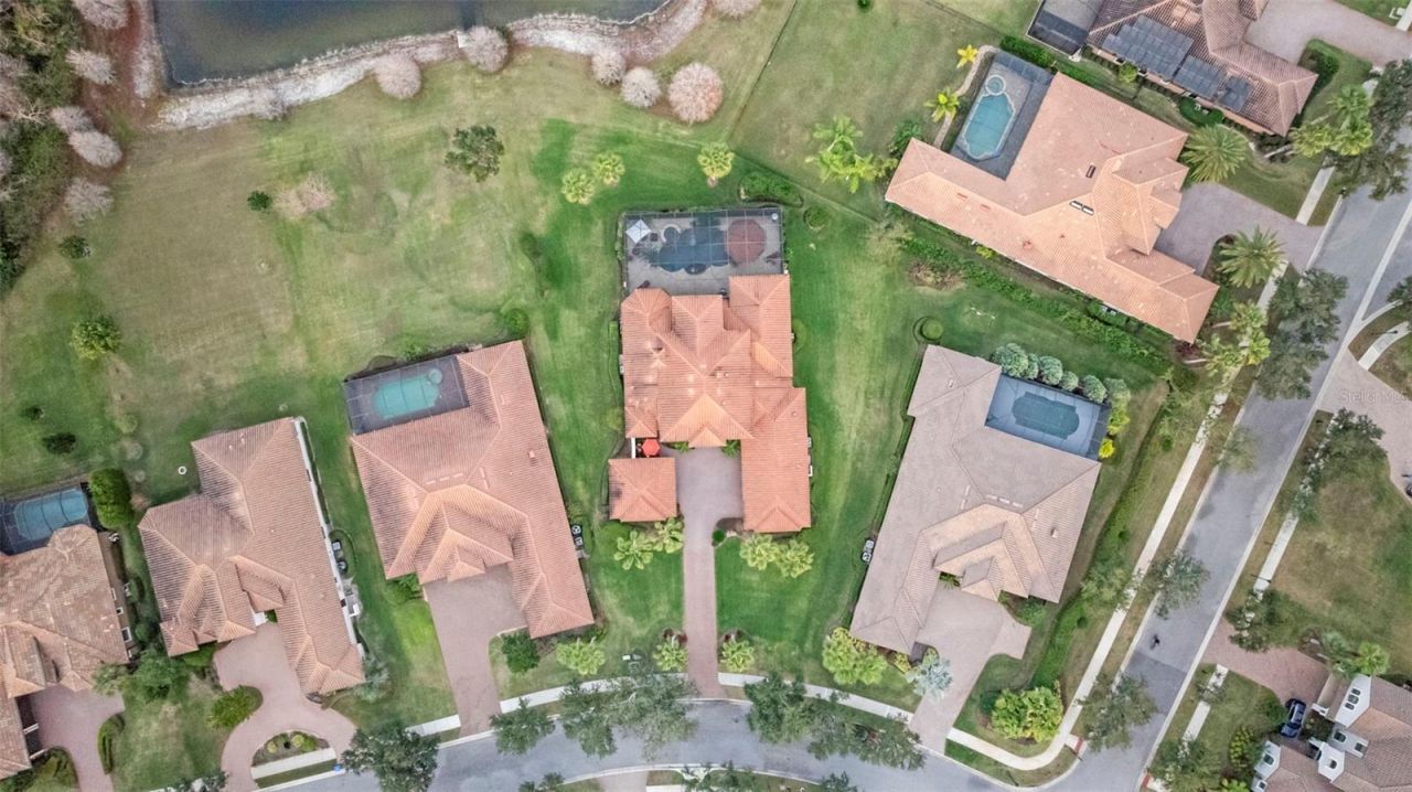 1207 Merry Water Drive, Lutz, FL 33548 Photo