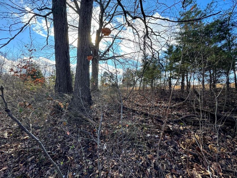 0 Golf Course Road , Unit (Tract 3 S, Waverly, OH 45690 Photo 23