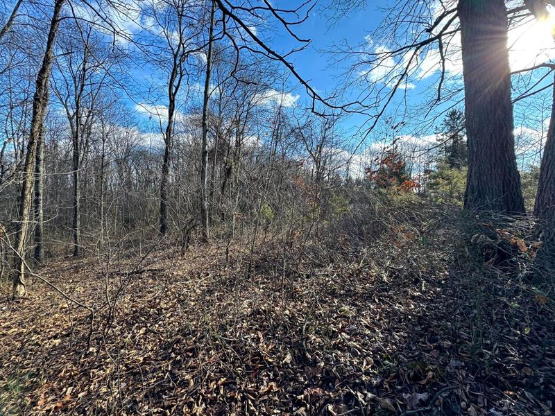 0 Golf Course Road , Unit (Tract 3 S, Waverly, OH 45690 Photo 24