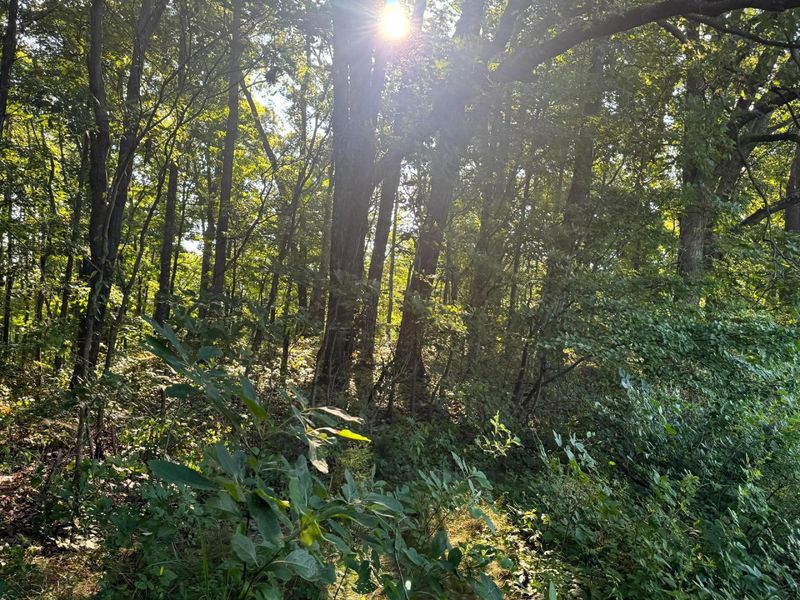 0 Golf Course Road , Unit (Tract 3 S, Waverly, OH 45690 Photo 26