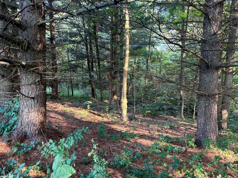 0 Golf Course Road , Unit (Tract 3 S, Waverly, OH 45690 Photo 27