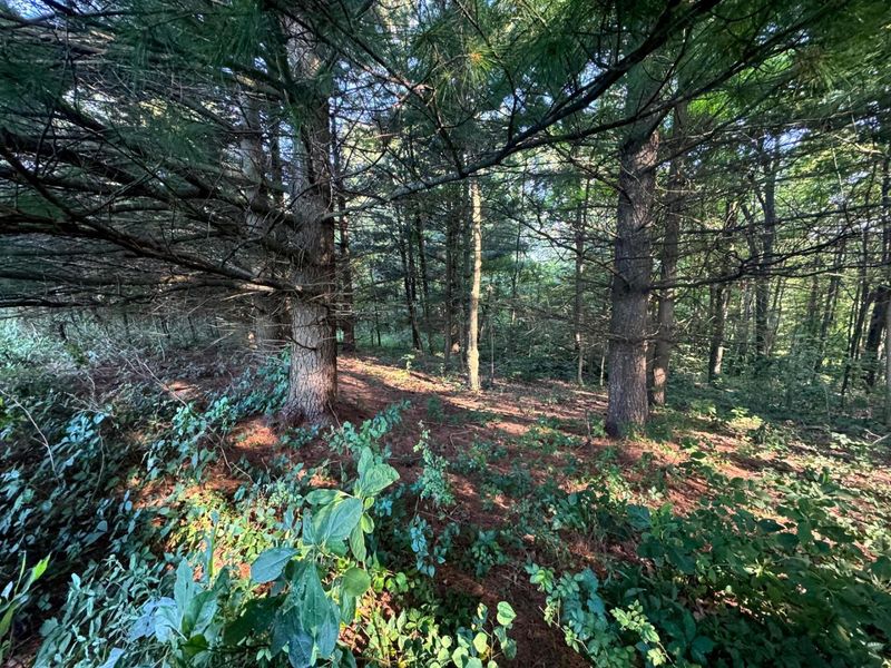 0 Golf Course Road , Unit (Tract 3 S, Waverly, OH 45690 Photo 28