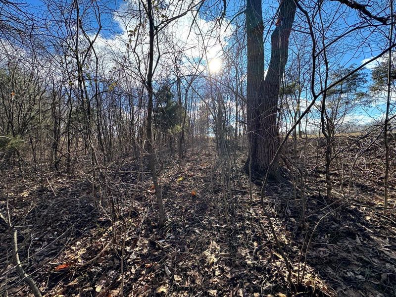 0 Golf Course Road , Unit (Tract 3 S, Waverly, OH 45690 Photo 29