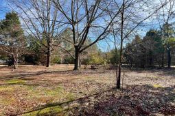 241 Megill Drive  photo 4