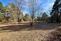 241 Megill Drive  photo 4