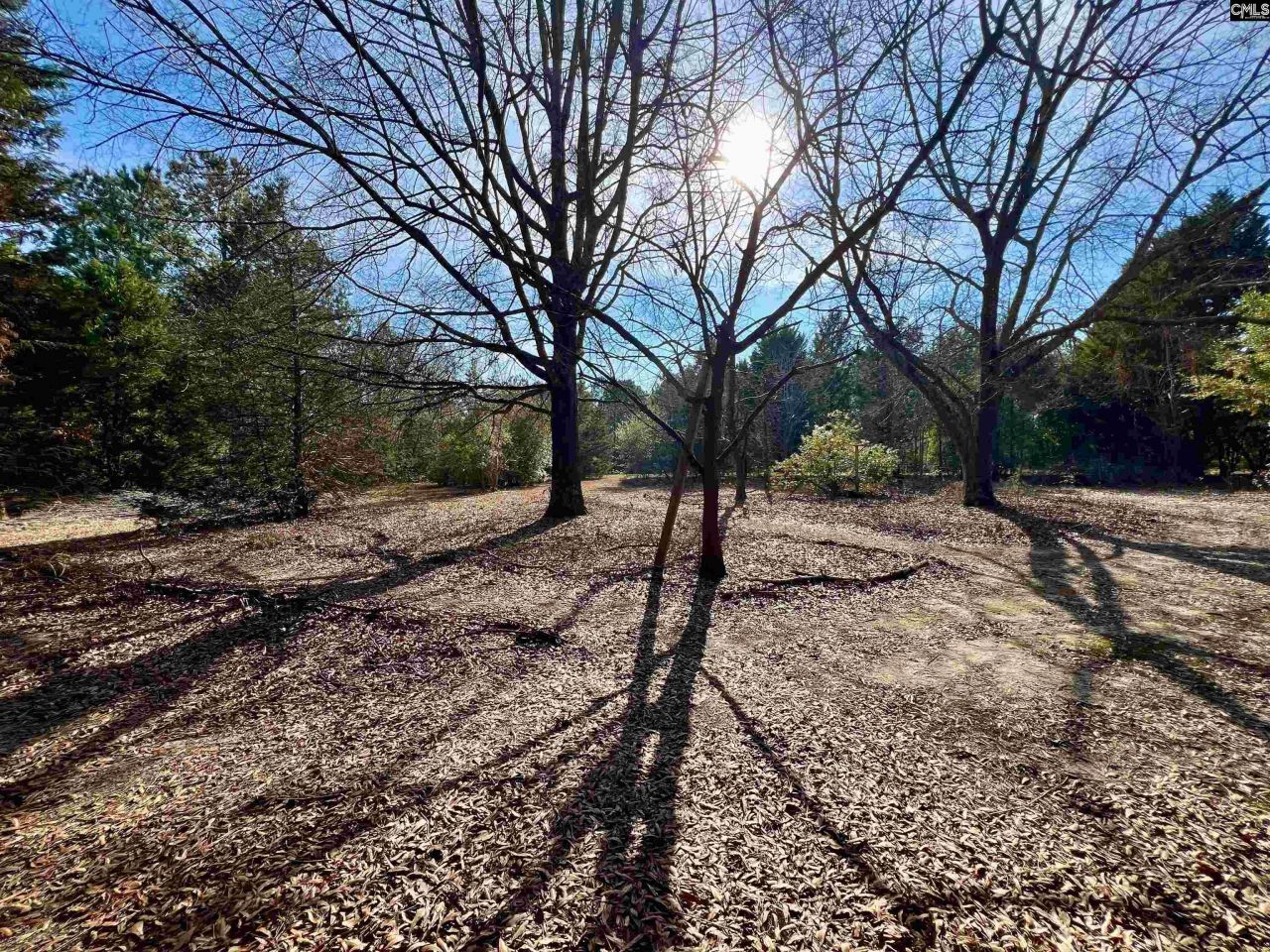 241 Megill Drive  Photo 4