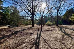 241 Megill Drive  photo 4