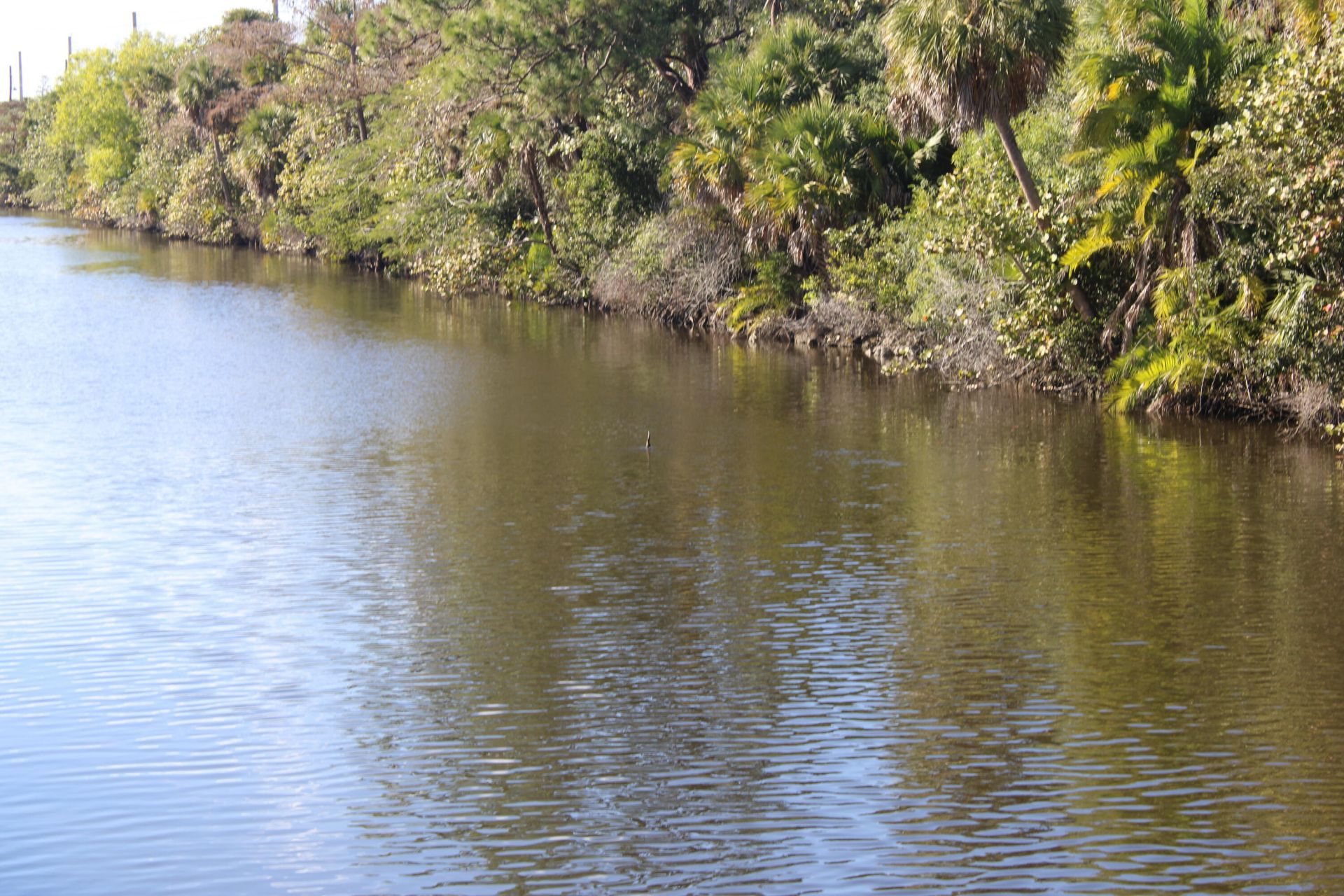 930 Rambling Drive Circle, Wellington, FL 33414 Photo