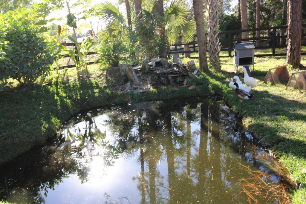 930 Rambling Drive Circle, Wellington, FL 33414 Photo