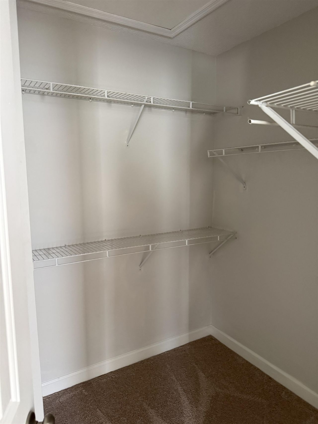 1444 Bessent Ave. Photo 12