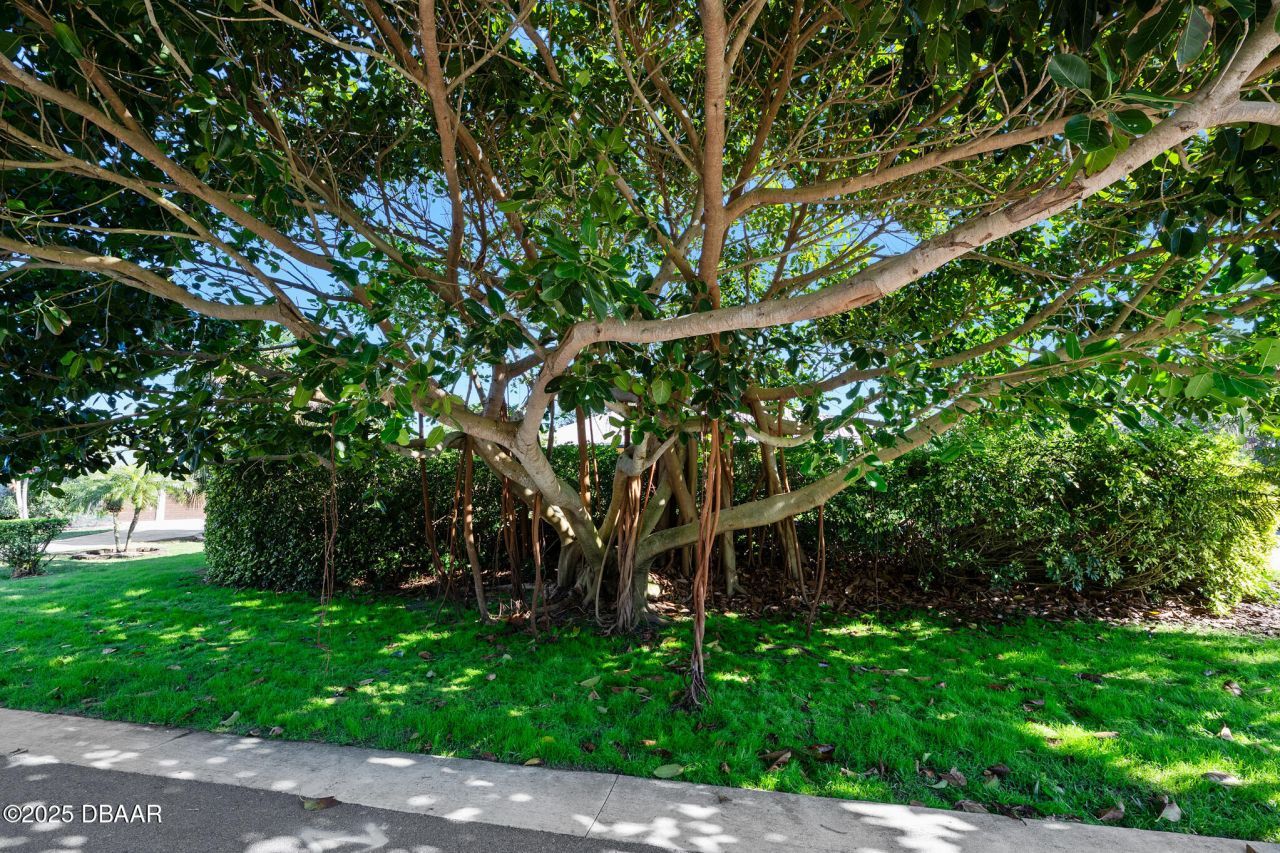 114 Ponce De Leon Circle, Ponce Inlet, FL 32127 Photo