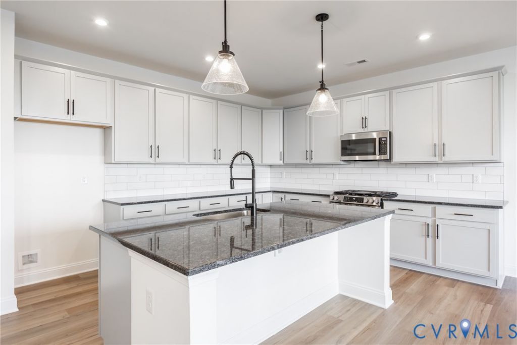 18736 Palisades Cove Trail  Moseley, VA 23120