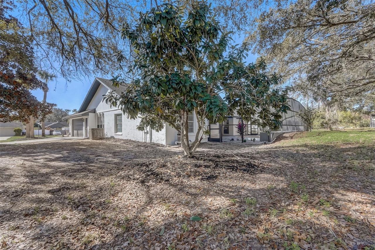 7015 Oakmore Lane, Orlando, FL 32818 Photo