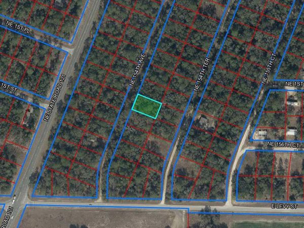 0000 NE 154TH AVENUE, WILLISTON, FL 32696