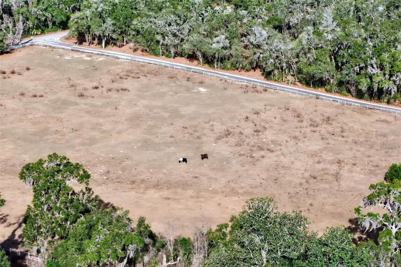 8989 S Great Oaks Drive, Floral City, FL 34436 Photo