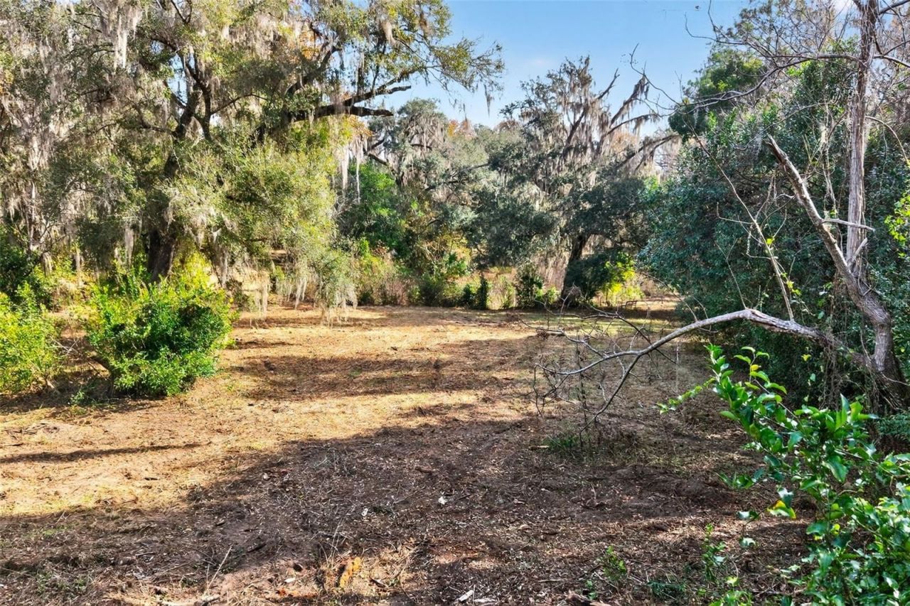 8989 S Great Oaks Drive, Floral City, FL 34436 Photo