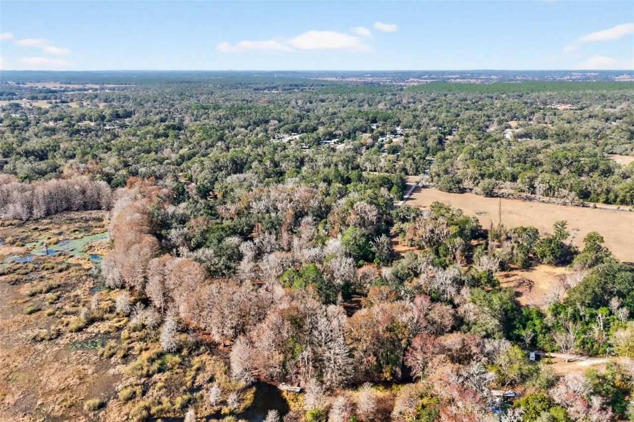 8989 S Great Oaks Drive, Floral City, FL 34436 Photo