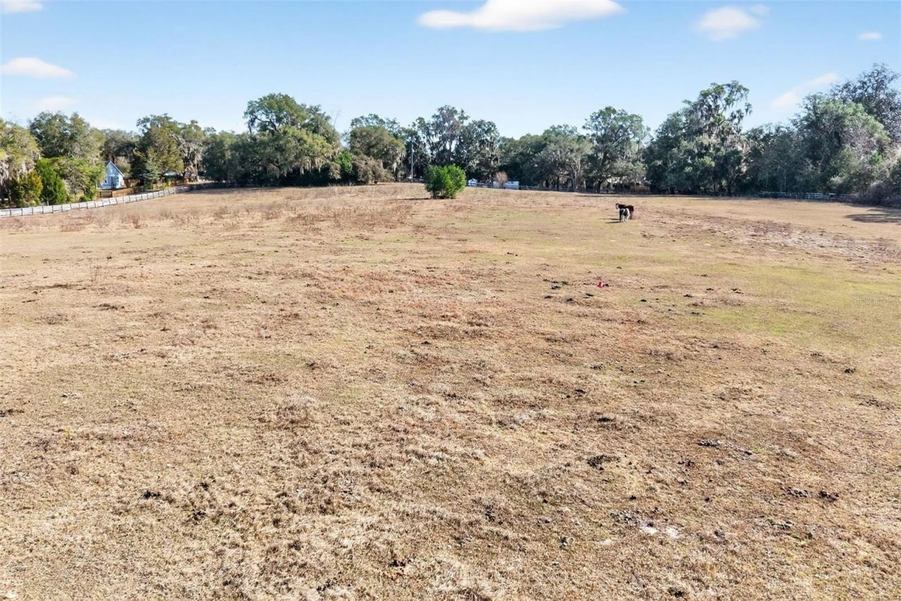 8989 S Great Oaks Drive, Floral City, FL 34436 Photo