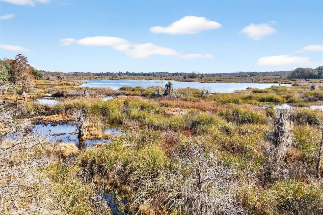 8989 S Great Oaks Drive, Floral City, FL 34436 Photo