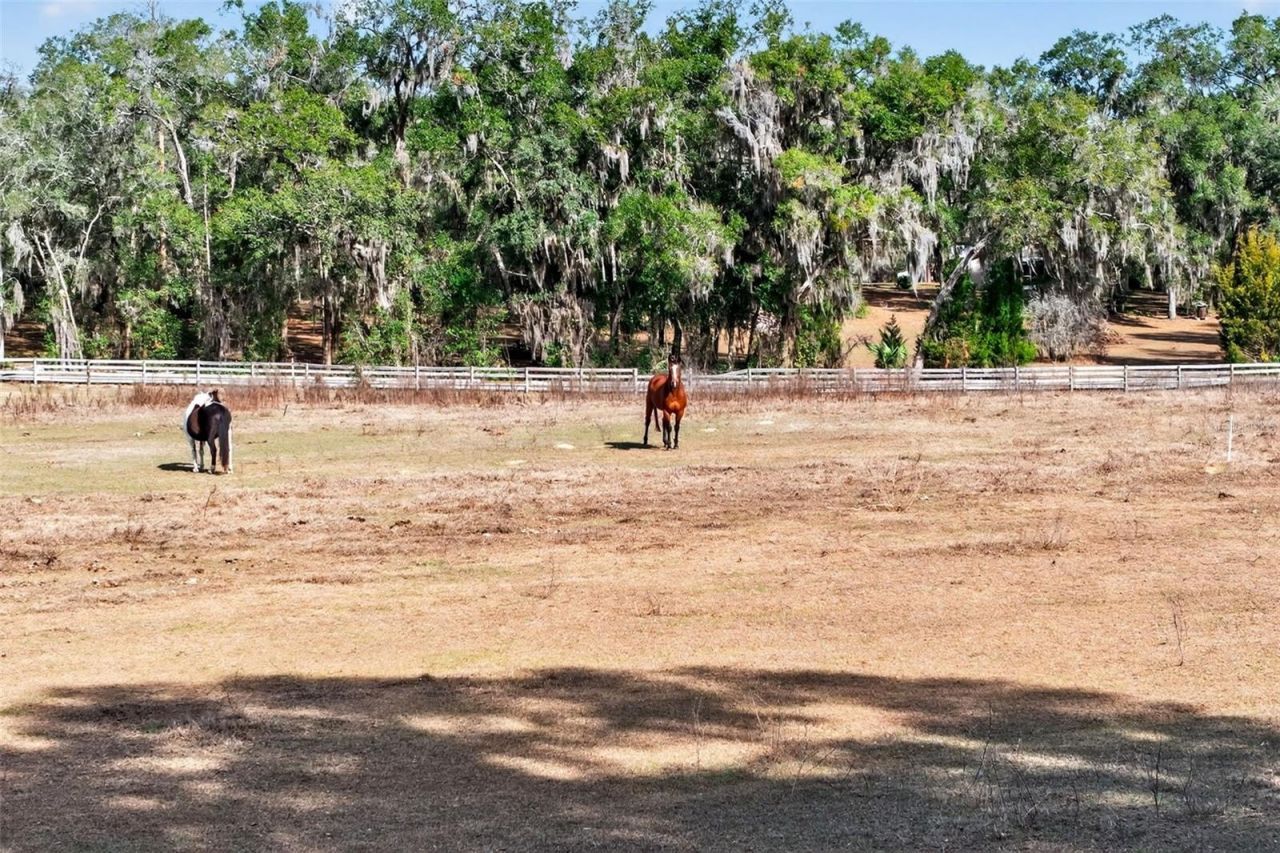 8989 S Great Oaks Drive, Floral City, FL 34436 Photo