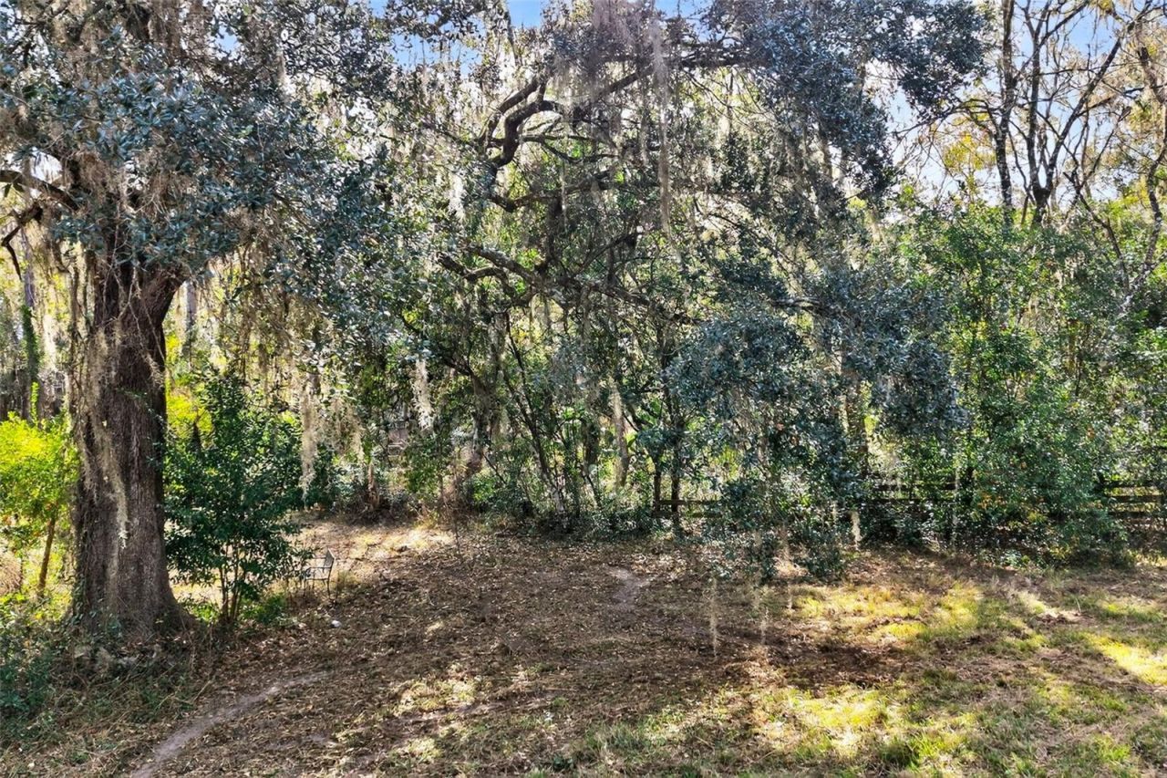 8989 S Great Oaks Drive, Floral City, FL 34436 Photo