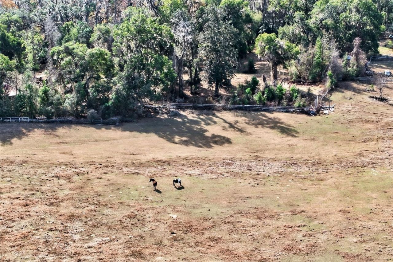 8989 S Great Oaks Drive, Floral City, FL 34436 Photo