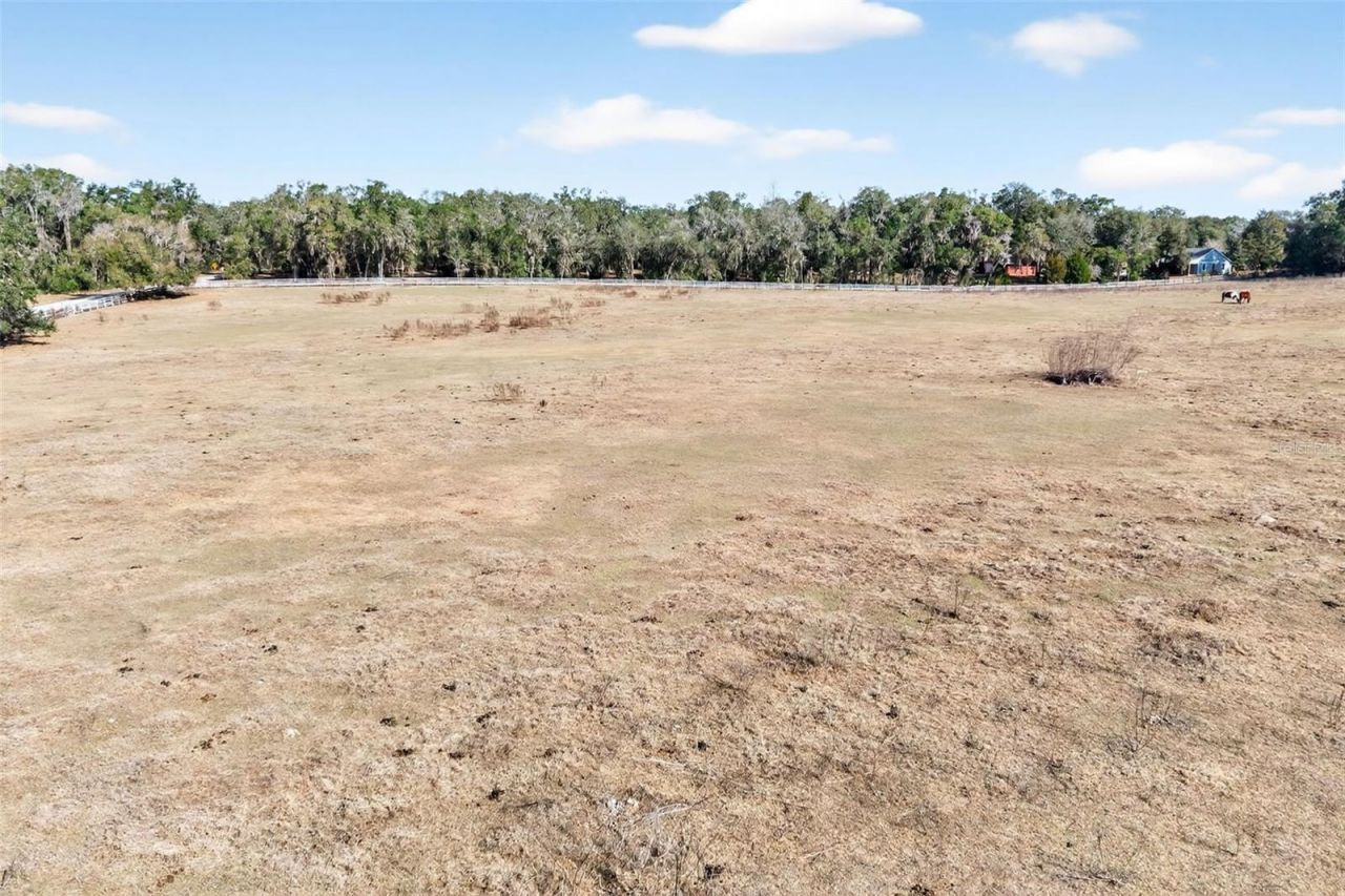 8989 S Great Oaks Drive, Floral City, FL 34436 Photo