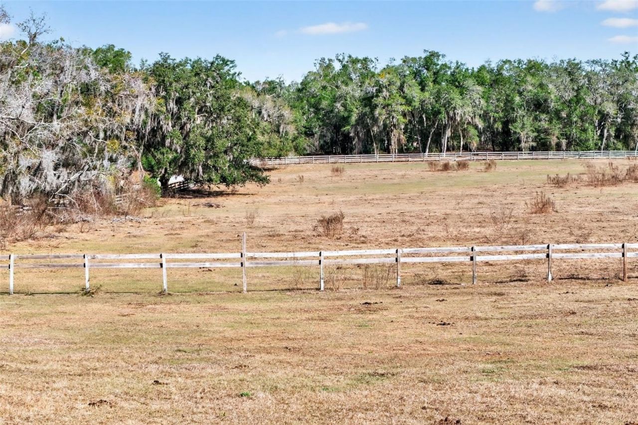 8989 S Great Oaks Drive, Floral City, FL 34436 Photo