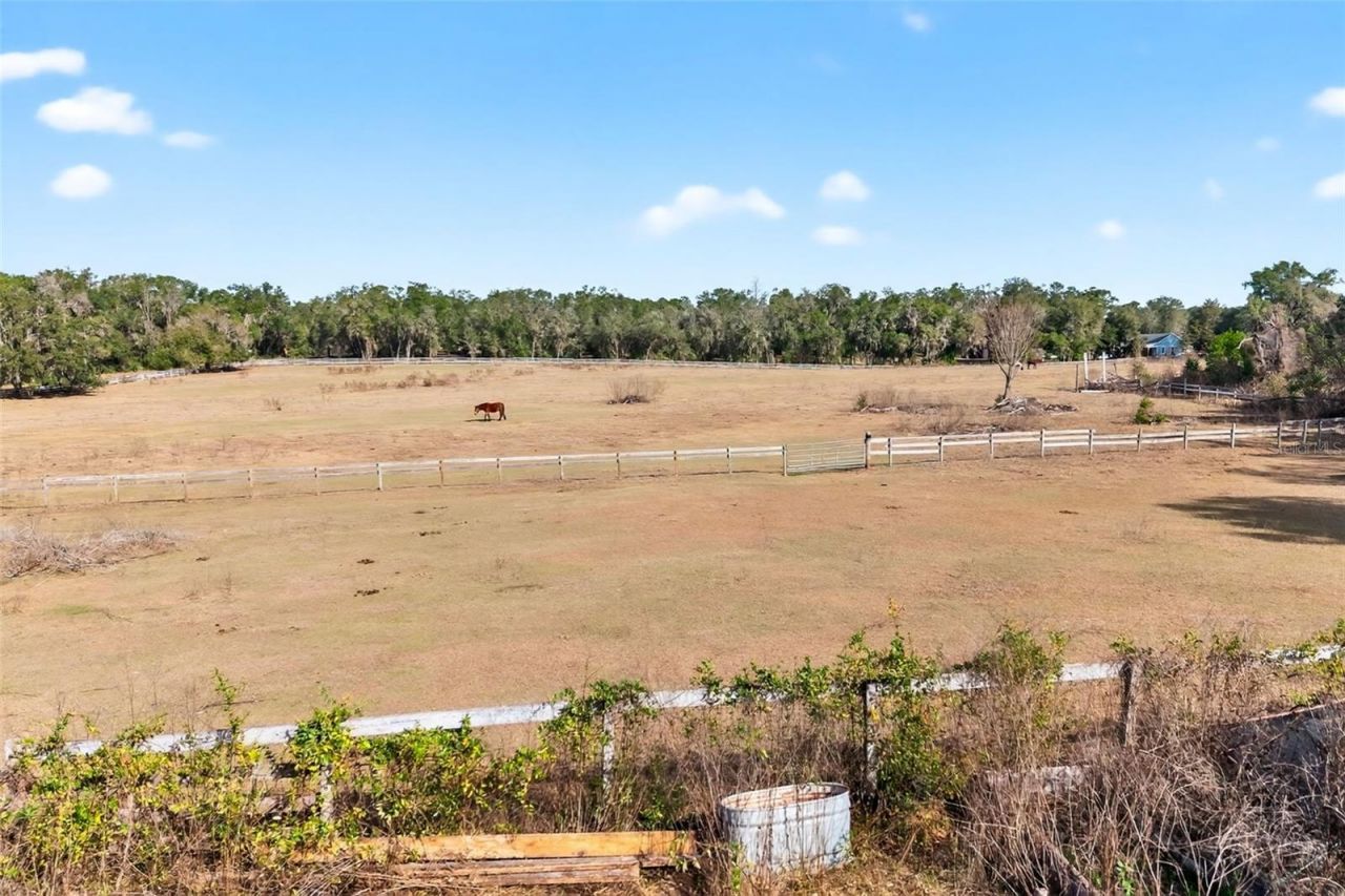 8989 S Great Oaks Drive, Floral City, FL 34436 Photo